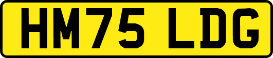 HM75LDG