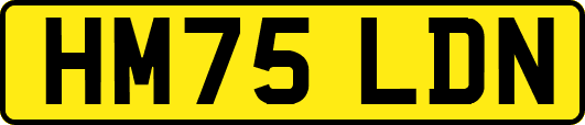 HM75LDN