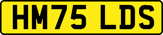 HM75LDS