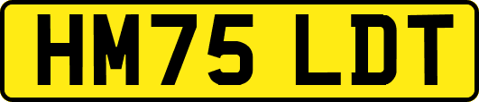 HM75LDT