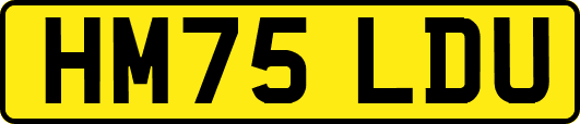HM75LDU