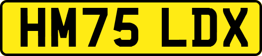 HM75LDX