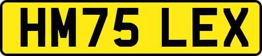 HM75LEX