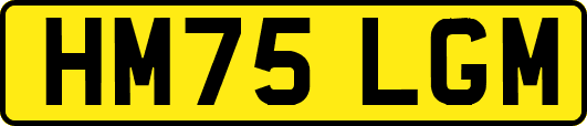 HM75LGM