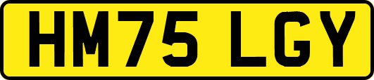 HM75LGY