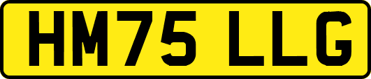 HM75LLG