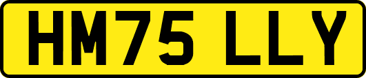 HM75LLY
