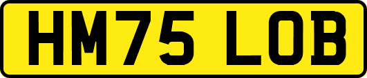 HM75LOB