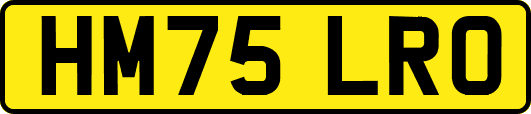 HM75LRO