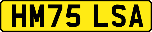 HM75LSA