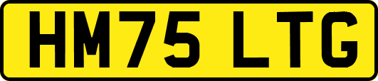 HM75LTG