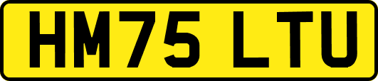 HM75LTU