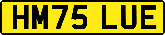 HM75LUE
