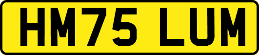 HM75LUM