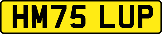 HM75LUP