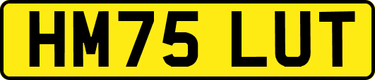 HM75LUT