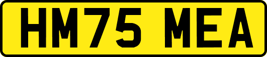 HM75MEA