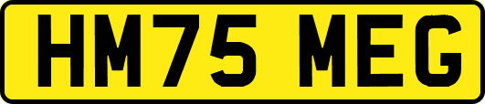 HM75MEG
