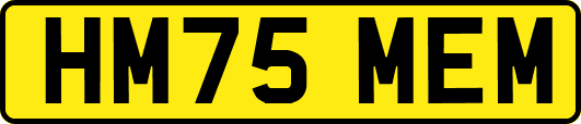 HM75MEM