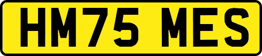 HM75MES