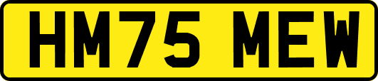 HM75MEW