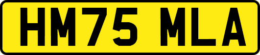 HM75MLA