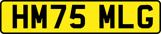 HM75MLG