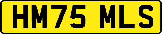 HM75MLS