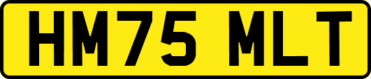 HM75MLT