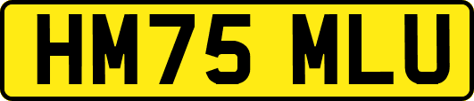 HM75MLU