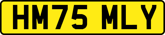 HM75MLY