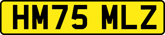 HM75MLZ