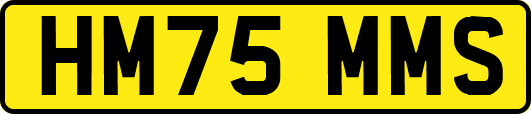 HM75MMS