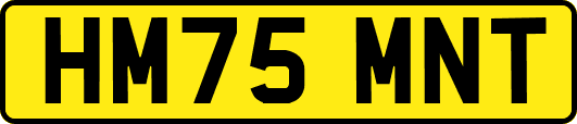 HM75MNT