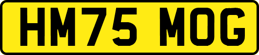 HM75MOG