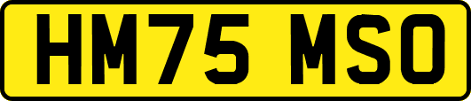 HM75MSO