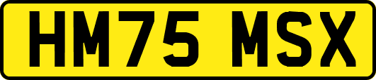HM75MSX