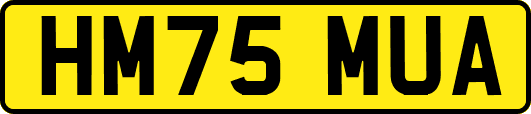 HM75MUA
