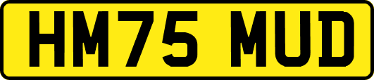 HM75MUD