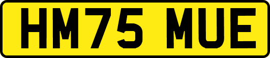 HM75MUE
