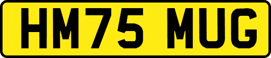 HM75MUG