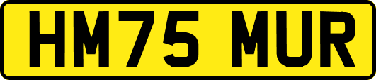 HM75MUR