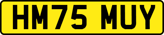 HM75MUY