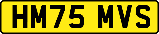 HM75MVS