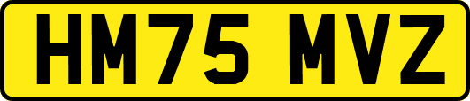 HM75MVZ