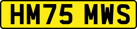 HM75MWS