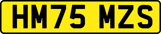 HM75MZS