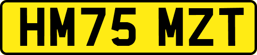 HM75MZT