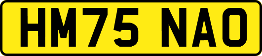HM75NAO