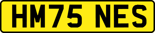 HM75NES